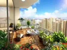 蜜橙 满两年 小一居室 视野好 采光好 适合过度