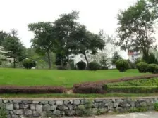 新上莲花小区单价合适 无坡 半装修 看房方便