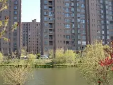 楼层好,位置好,采光好,南向,视野好