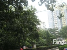温江和平街图片