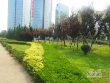 天越湾 北入户 精装 联排别墅 带车库车位