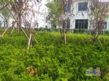 天越湾 好楼层可看海 满五税费各付