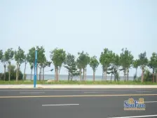 天越湾中低楼层,毛坯海景房,带南北观景大阳台