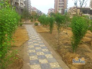 天颐郦城小高层好楼层,不靠道采光好,精装修业主自住