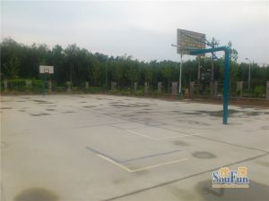 双卫的户型,小高层只有这一栋有,中间好楼层,采光好