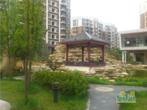 天颐郦城3室2厅南北