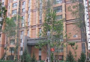 立水桥合立方大三居南北通透精装修满五唯一