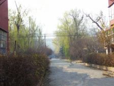 亚麻小区 一室明厅 南北通透 采光好 户型好 一楼