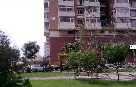 鸭子桥路实景图