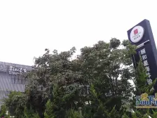 颐和星海 1室1厅 南