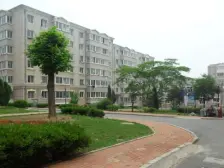 金源北里 两室两厅 南北通透 精装修 拎包入住