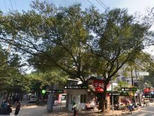 此房南北通透全明格局,采光好户型好交通便利
