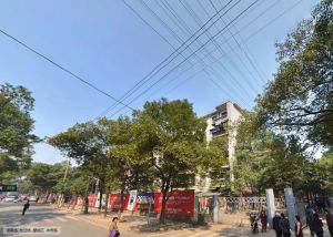 房子步梯房无物业费无停车费生活成本低