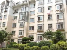 泡崖一区 南北通透 采光好视野好 随时看房 价格可议