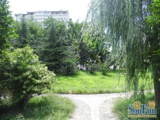  ���Ʊ���2��1��1���ϳ���2200.00Ԫ/�³��� 