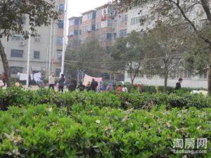新交楼房,两梯三户,采光很好,价格实惠