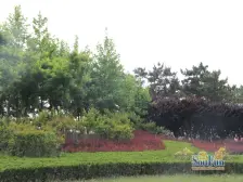 高新区容大东海岸精装一居室东向11层满二拎包入住