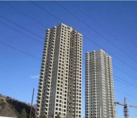 御园1室1厅东南