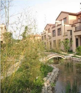 大河之翼实景图