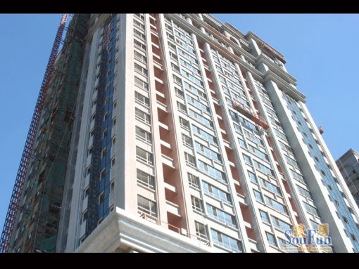  �ϴ���̨����2��1��1��������1000.00Ԫ/�³��� 