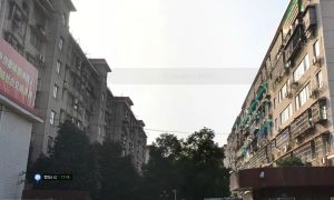 省委大院电梯房两套打通只限内部购买