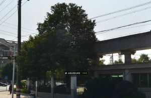 花园小区单位宿舍楼层好视野宽阔采光充足交通好