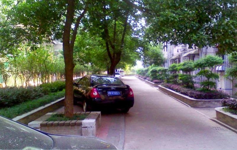 小区相关图