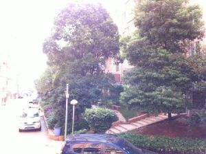 林苑4室2厅南