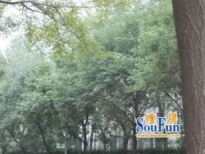此房老本唯一南北通户型采光好配套设施全