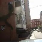 有房本 诚心出售 交通方便 附院 植物园 明泽