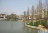 碧桂园凤凰城别墅