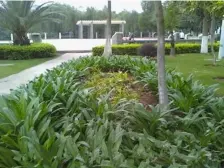 此房位于陈村农贸市场旁,产权满五年