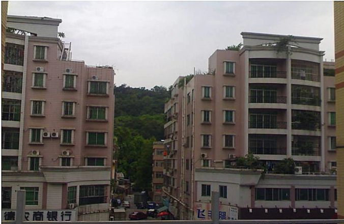 文秀丽苑实景图