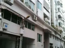 大良北区 本原 梁开 低楼层步梯 大阳台 满五 楼新急售