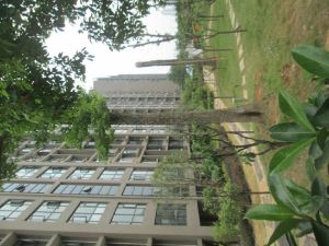 复式楼烟草局宿舍沙湾公园双地铁清水毛坯车位