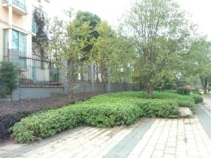 离湘府英才进,近1号线桂花坪地铁口