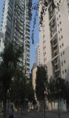 中国铝业住宅区3室1厅南