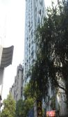 中国铝业住宅区3室1厅南