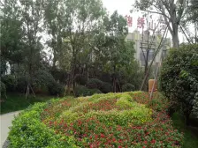 玉华园 南北通透大三房 精装修双气随时看 诚心出售