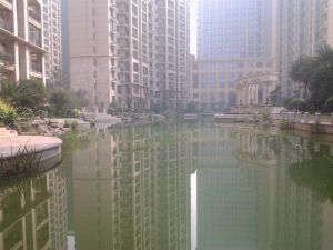 小区都是小高层户型周正全新精装南北双阳台地铁近