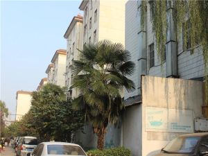南昌路商圈中间楼层两室出行方便采光好