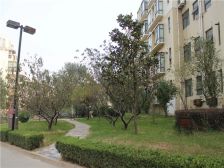 武汉路大型社区,三室步梯房,公摊小,精装修拎包住
