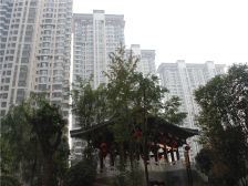 满五唯一税费少 精装修两室好房源