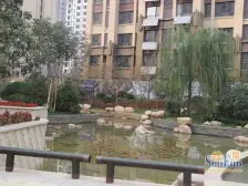 美式装修 户型方正 单价低 视野采光好 南北通透