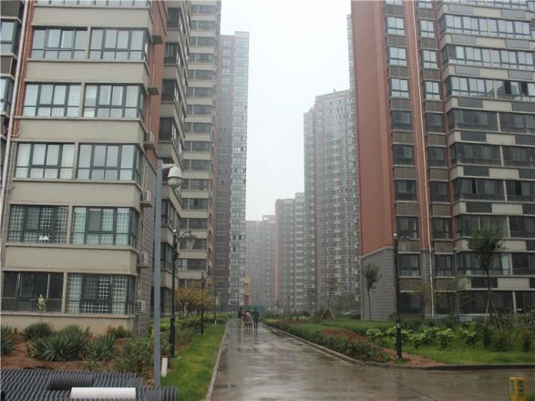 中迈书香苑实景图