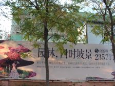 凤凰水城洋房顶复全天采光无遮挡带车位过二