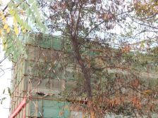 正直物业,三室南北通风好,好楼层价格可谈证过二