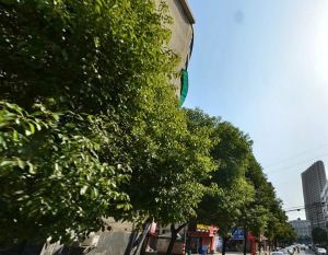 金属公司宿舍3室1厅南
