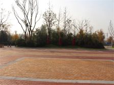 步梯二楼公摊小带储藏证过二