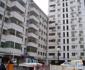 凤岗中心去区电梯房满5年带装修沃尔玛对面安静